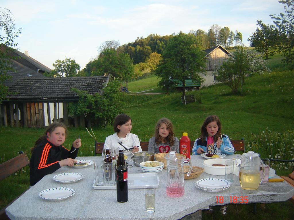 Biohof Stockinger Villa Kirchbach  Екстериор снимка