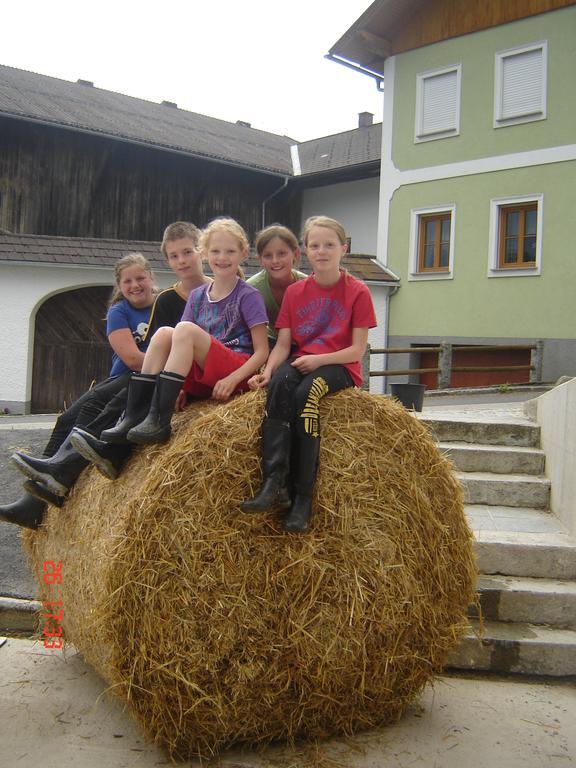 Biohof Stockinger Villa Kirchbach  Екстериор снимка